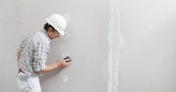 Best Air Quality Testing for Mold Spores  in Lancaster, SC