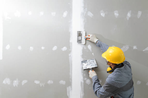 Best Attic Mold Removal  in Lancaster, SC