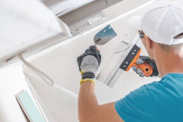 Best Asbestos and Lead Testing During Mold Inspection  in Lancaster, SC